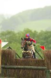 horse jumping 2